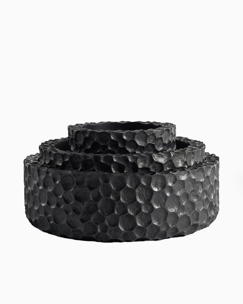 Ensemble de bols hachés