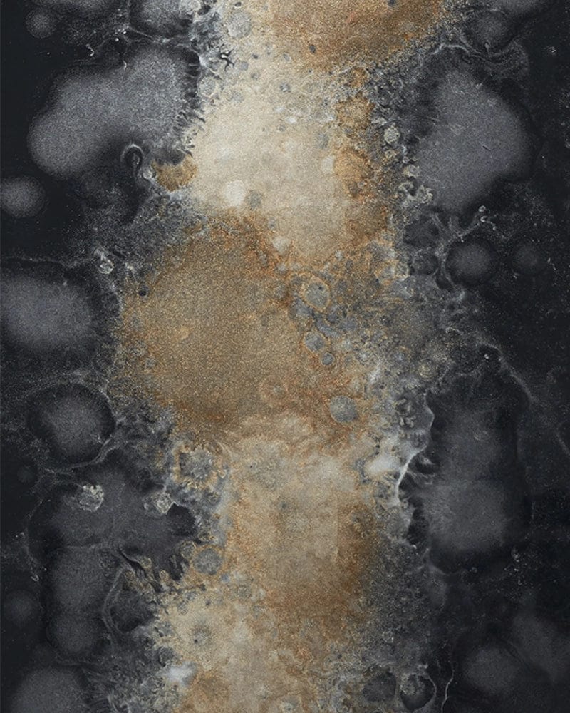 Plateau Valet Bio II