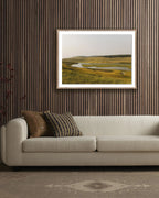 Là où les bisons errent