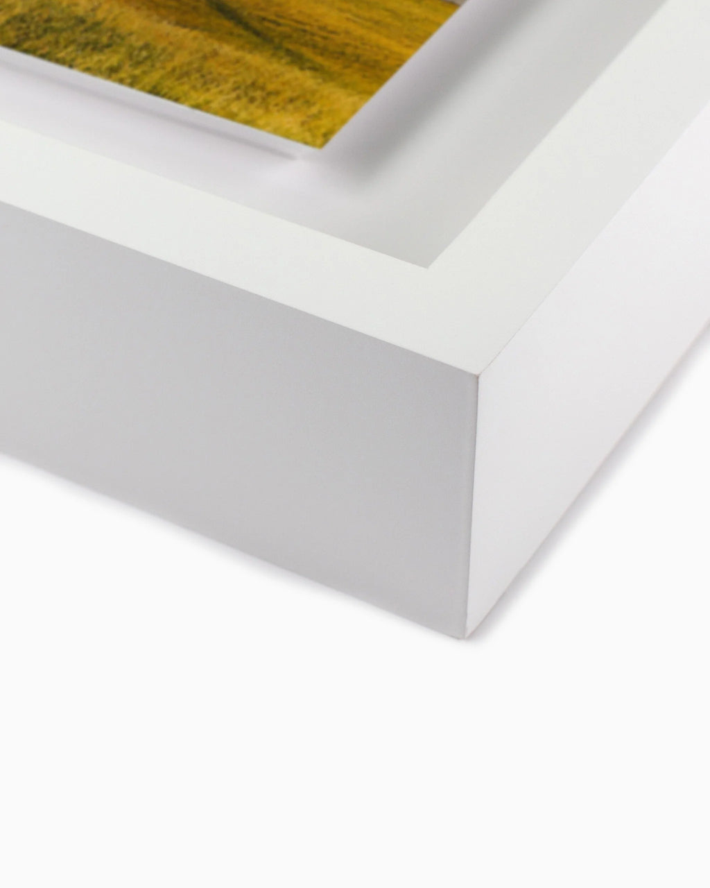 Là où les bisons errent